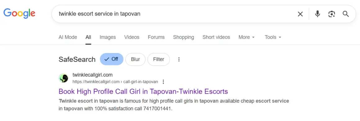 screenshot result keyword type on google 'twinkle escort service in Tapovan'